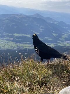 Foto von Frank Küpper entlang der Tour