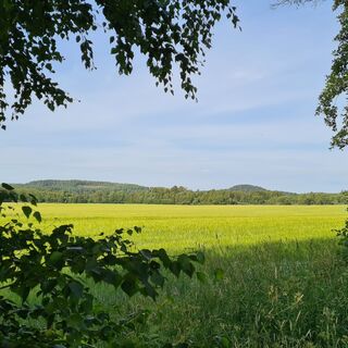 Landschaften des Naturlehrpfads Kutajärvi