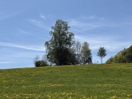 Foto von Norbert Herbig entlang der Tour