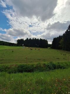 Foto von erwinso entlang der Tour