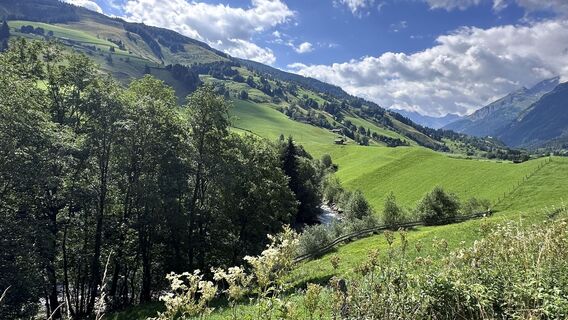 Zdjęcie z Mountain Cat ? ⛰️ wzdłuż trasy