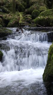 Photo de SchiMi780 le long du parcours