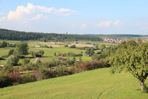 Ausblick