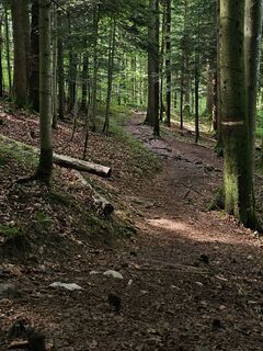 Foto von Grieshofer Gerlinde entlang der Tour