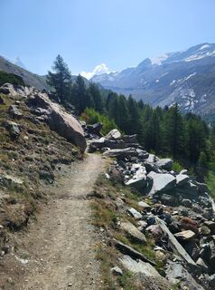 Foto de Gudi kowa a lo largo del recorrido
