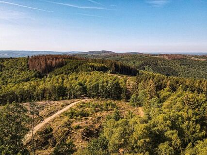 Aussicht Pfannenbergturm