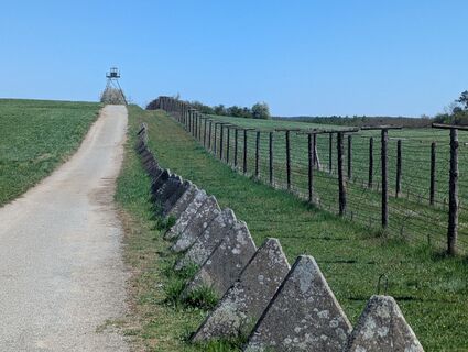 Fotografija s spletne strani karin1108 na poti