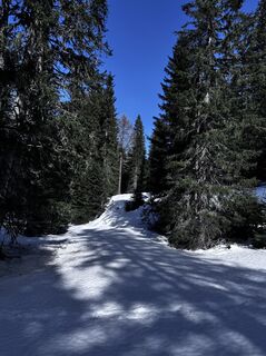 Foto von Gábor Steffer entlang der Tour