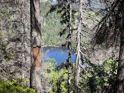 Foto från Dietmar Lüdenscheid ? under resans gång