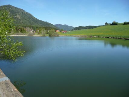 Grasluppteich