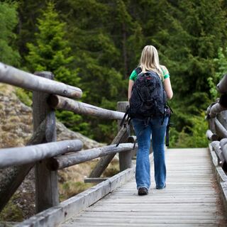 Burgen Brücke