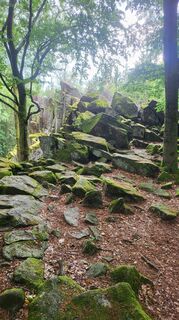 Photo de Marcel Nwk le long du parcours