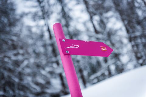 Markierung Schneeschuhtrail