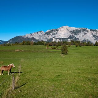 Ausblick Dobratsch