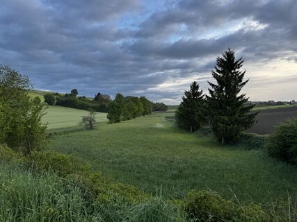 Photo de Schaali le long du parcours