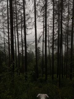 Foto von Christian Burger entlang der Tour