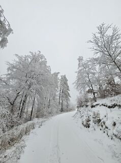Foto von Heiko Sauermilch entlang der Tour