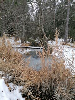 Fotografia z Dagmar Hofer na trase