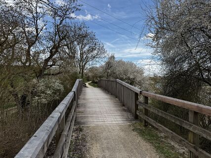 Fotografia z Schaali na trase