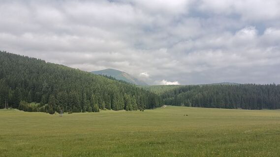 Fotografia z Bergpirat na trase