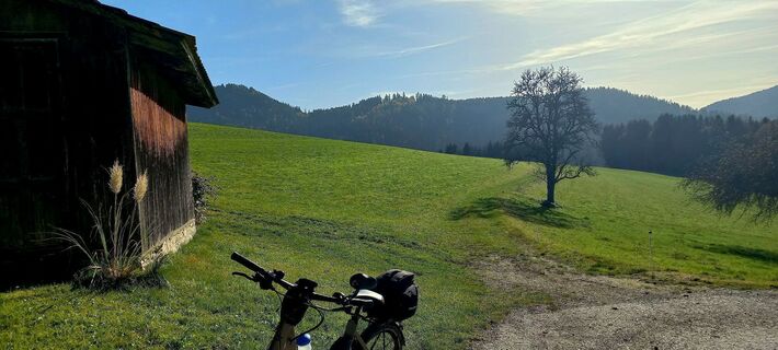 Foto von Schoby entlang der Tour