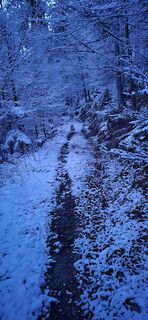 Foto von Srečko Lašič entlang der Tour