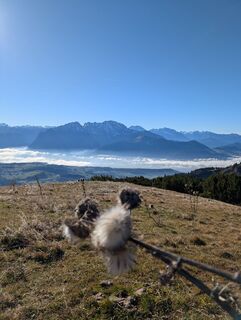 Fotografija s spletne strani Pfefferam na poti