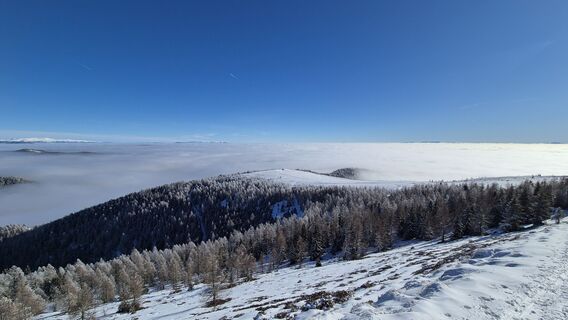 Foto von Günter Smole entlang der Tour