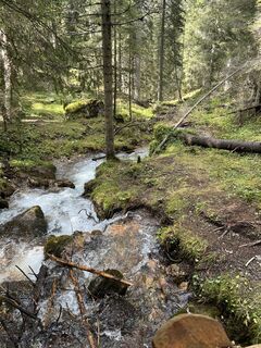 Foto von Sven Pausch 24 entlang der Tour