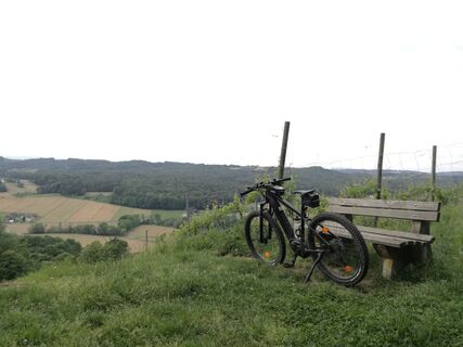 Rastpunkt bei der Weinwarte in St. Peter