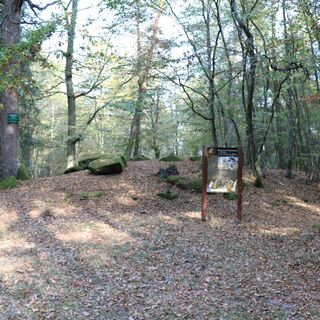 Mönchsweg 1, Station 2_01