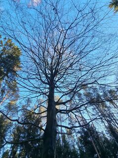 Foto de Andreas Mohr a lo largo del recorrido