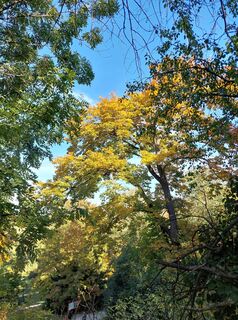 Zdjęcie z Alaunga wzdłuż trasy