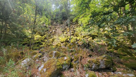 Photo de Marcel Nwk le long du parcours