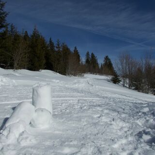 Schneeschuhtrail Schwarzenbühl-Panoramatrail