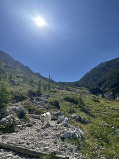 Foto von Eva Železnikar entlang der Tour