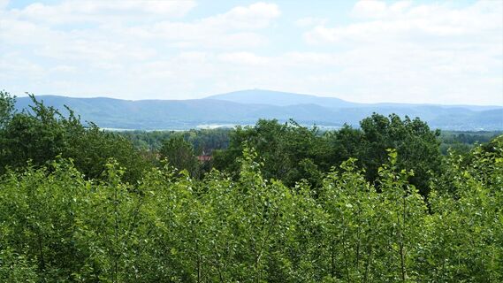 Blick zum Brocken