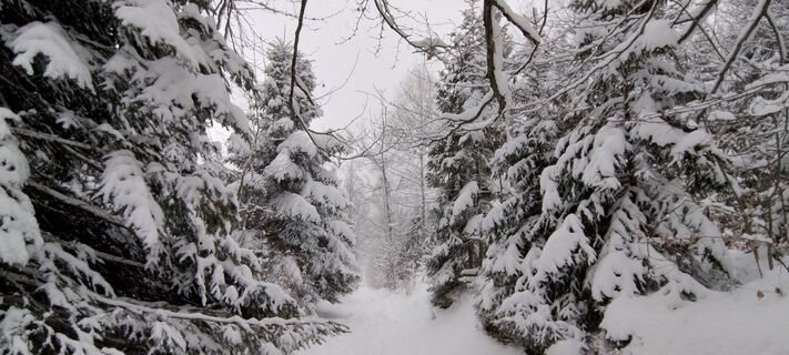 Fotografia z Sylwiasuchy76 na trase