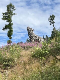 Foto von Eugenio baldi entlang der Tour