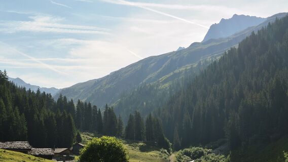 Photo de BarbischNicole le long du parcours