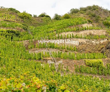 Weinberge Winningen