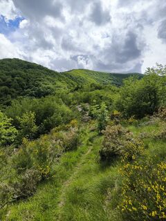 Фото с сайта Mirco moretti во время экскурсии