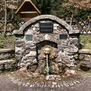 Werraquelle bei Fehrenbach