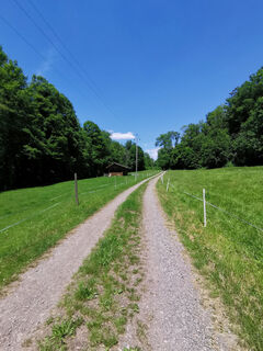 Auf dem Weg von Gurtweil nach Gutenburg