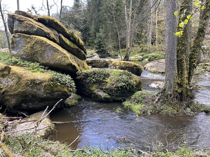 Foto de Norbert Herbig a lo largo del recorrido