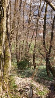 Fotografie z Maria Magnes na trase