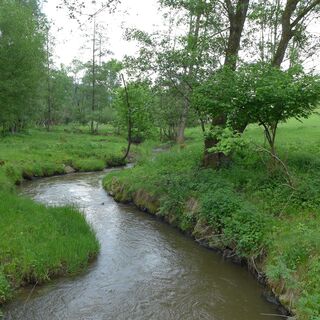 Silberbach in Kappel am Krappfeld