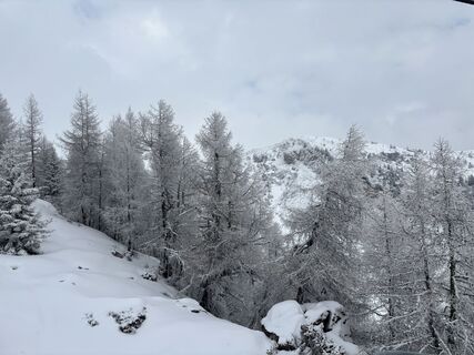 Foto von Mario Prgomet entlang der Tour