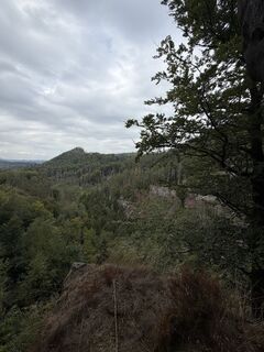 Foto de Peter Mooijer a lo largo del recorrido