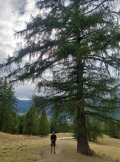 Foto von Birgitte Østergaard Snejbjerg entlang der Tour
